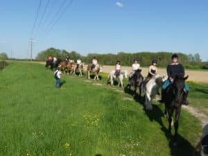 Balade campagne Touraine Cheval Balade campagne Touraine Cheval