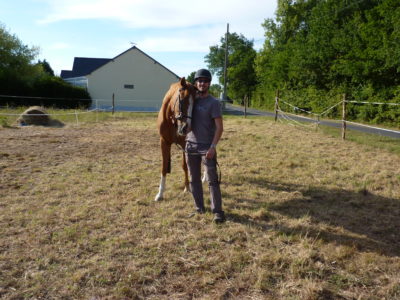 touraine cheval en 2011