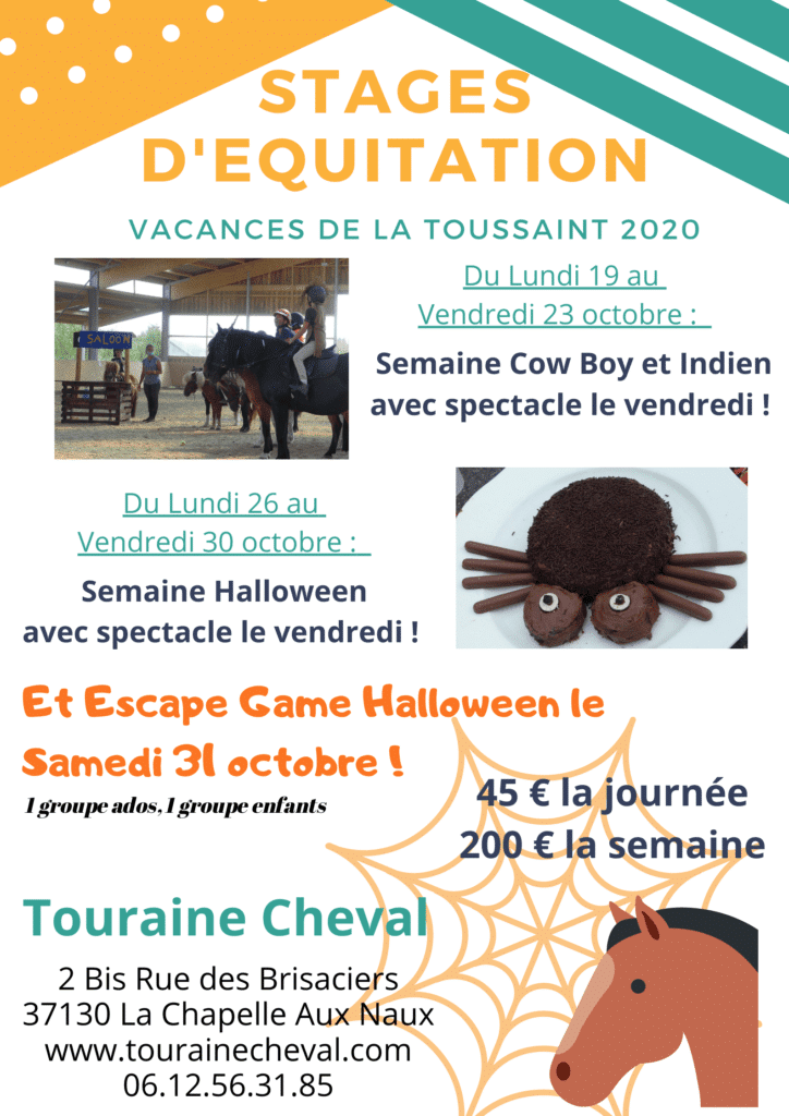 STAGES D’EQUITATION Toussaint Touraine Cheval