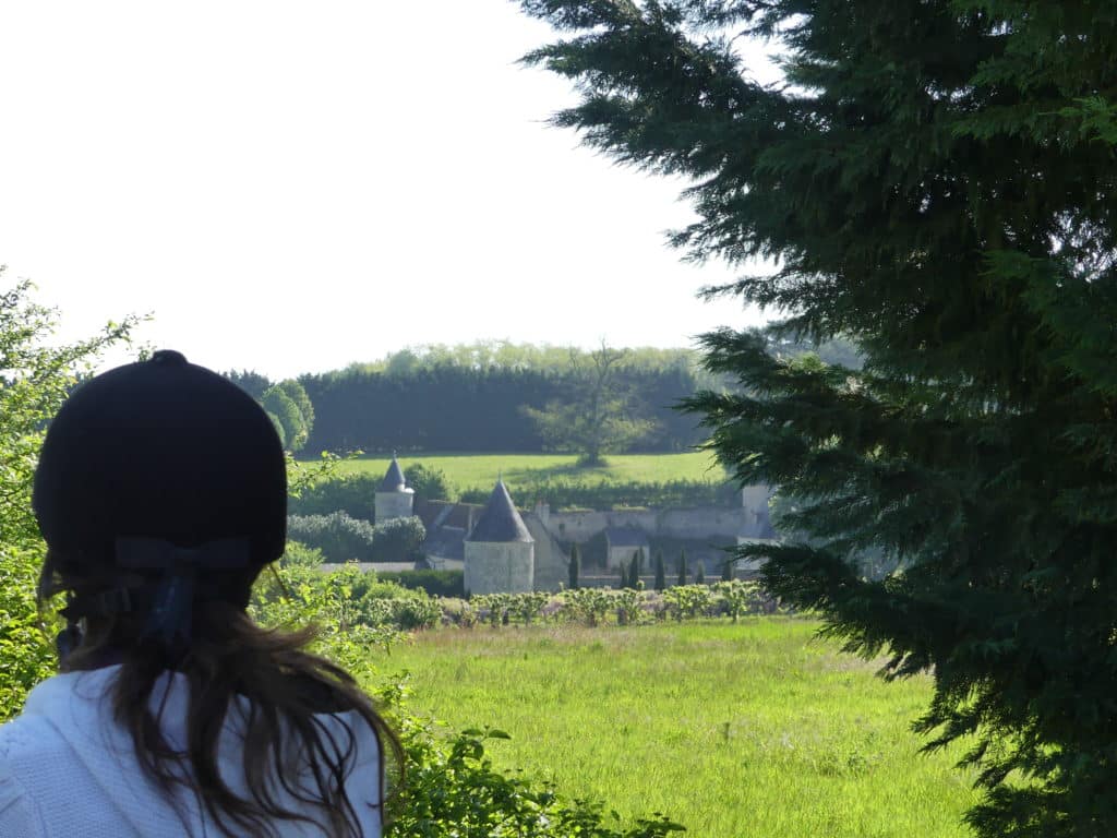 Balade de 3 heures touraine cheval