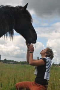 A la rencontre des chevaux Touraine Cheval