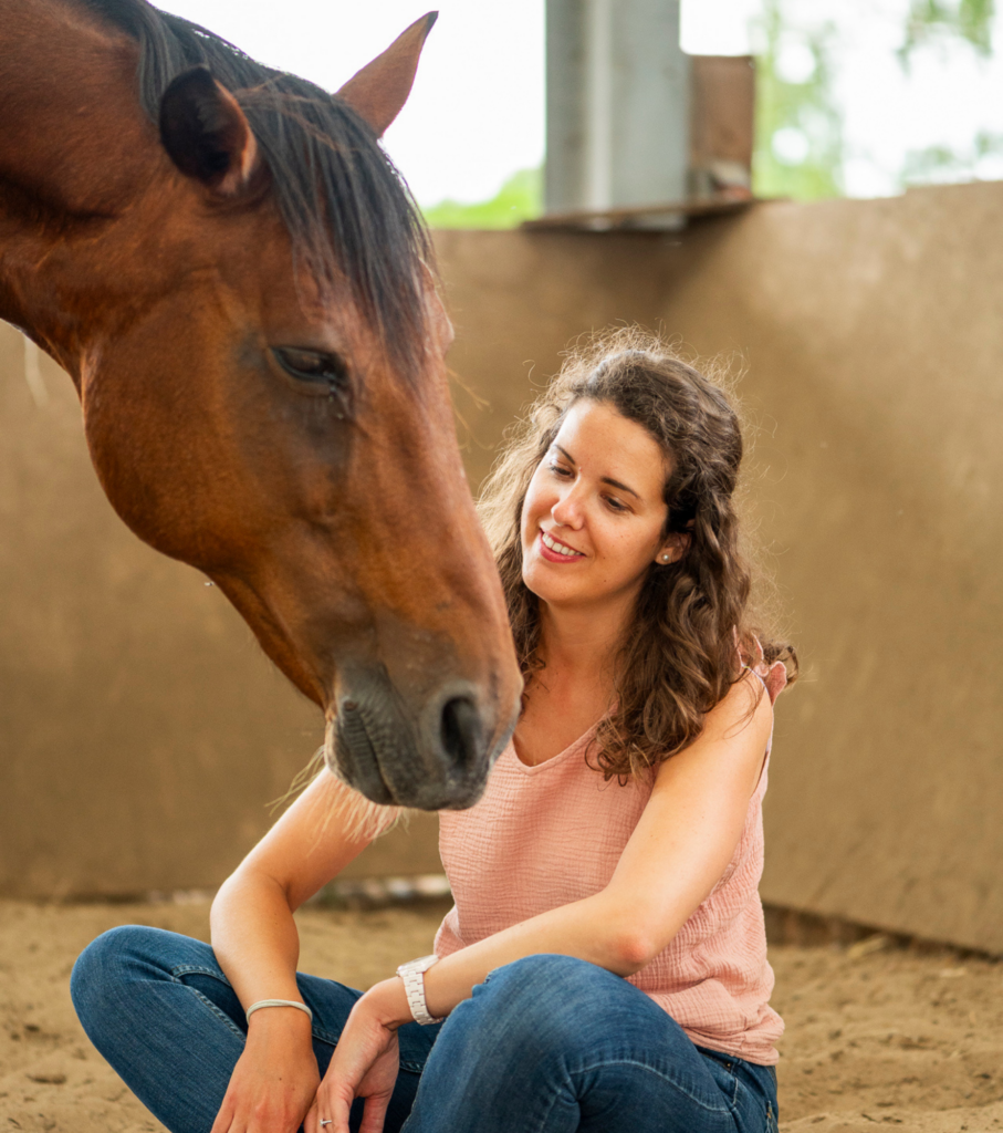 Touraine Cheval connexion 2
