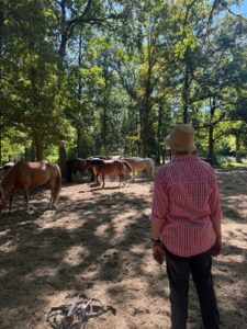 Séjour Touraine Cheval