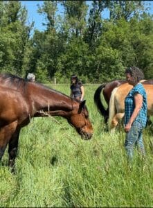Séjour cheval - Touraine