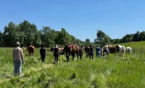 sejour week end 2 jours ou 5 jours touraine cheval