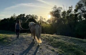 sejour week end 2 jours touraine cheval